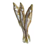 Suszona stynka 100g